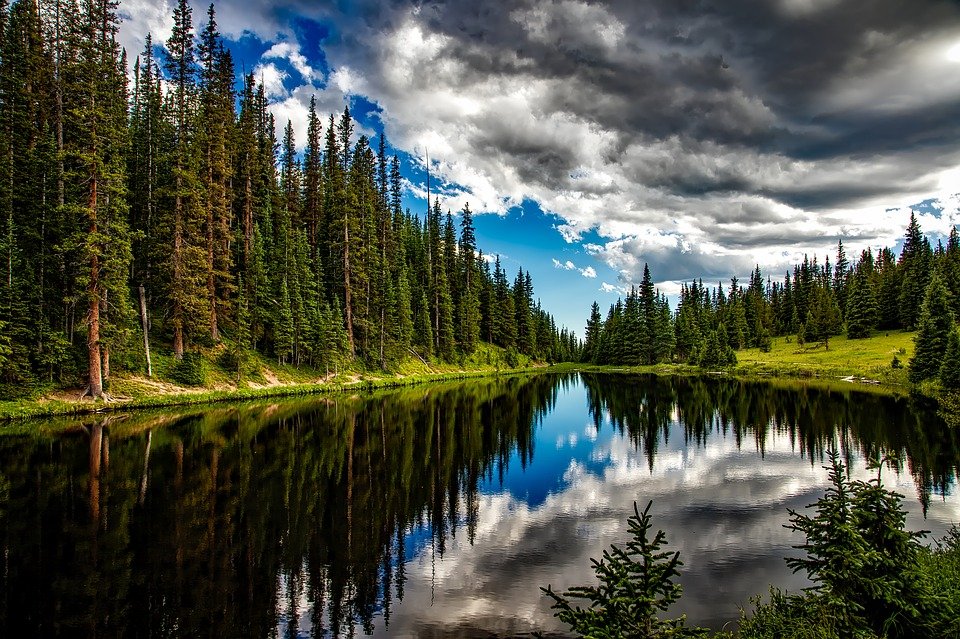 Lake, Conifers, Clouds, Trees, Sky, Cloudy Sky