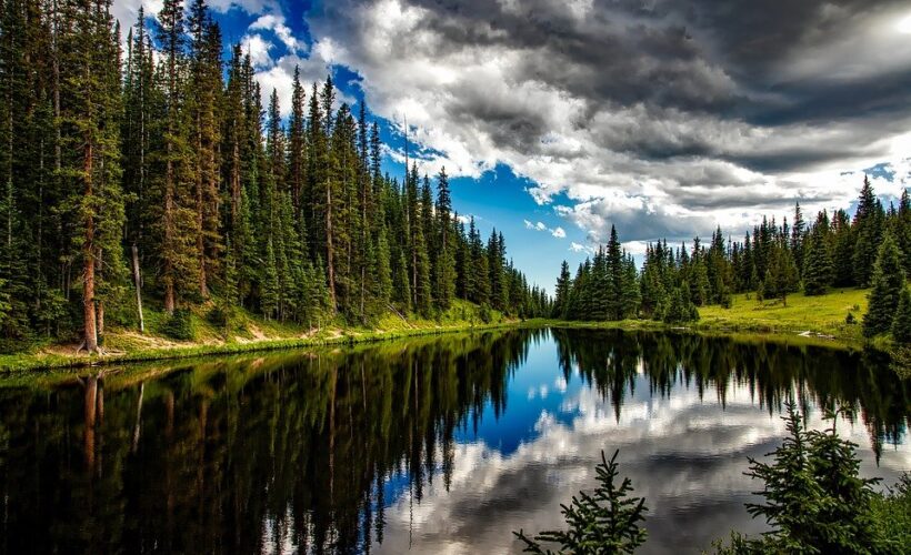 Lake, Conifers, Clouds, Trees, Sky, Cloudy Sky